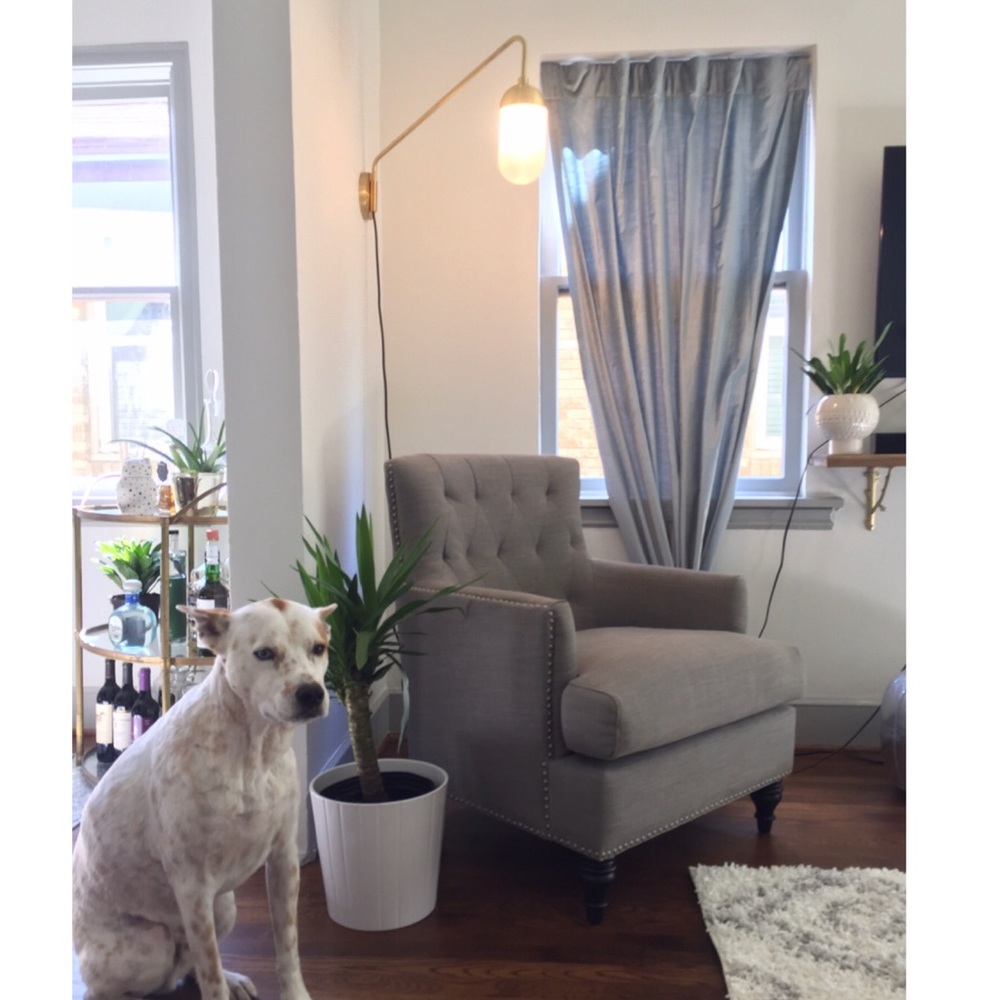 West Elm Luster Velvet Curtains - Dusty Blue - Picture 5 of 5